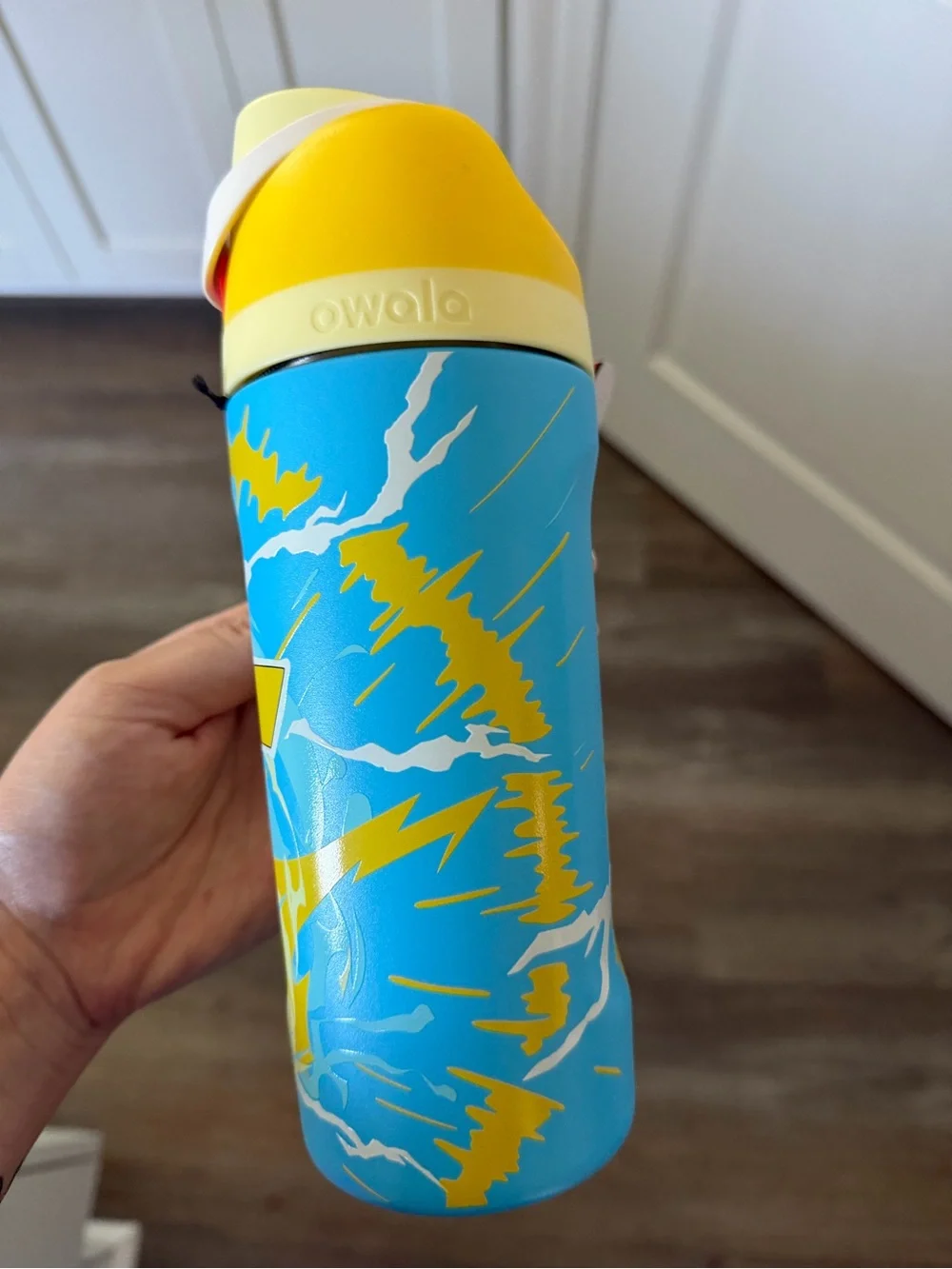 Pokémon owala